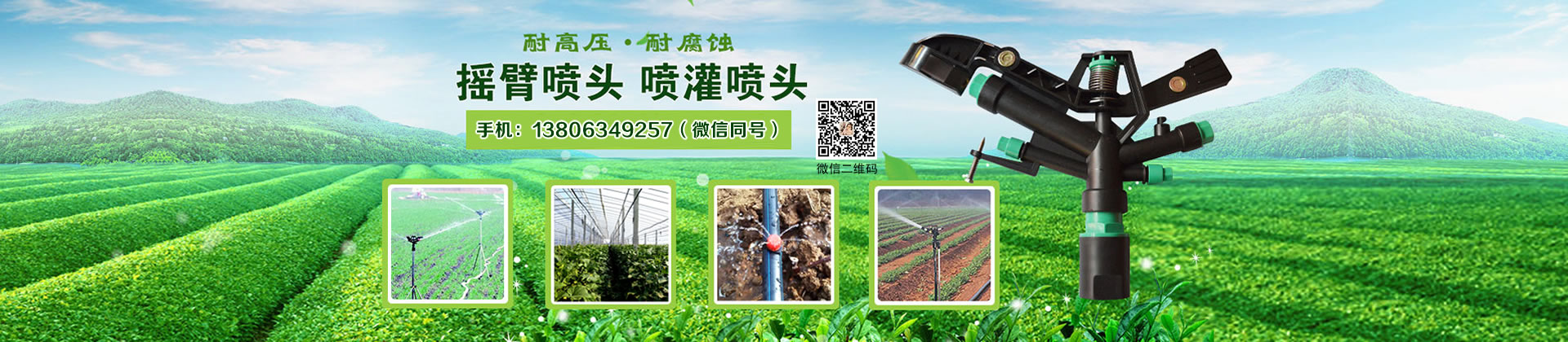 ZRYPϵ�бP(p��n)ʽ�B�m(x��)����C(j��)